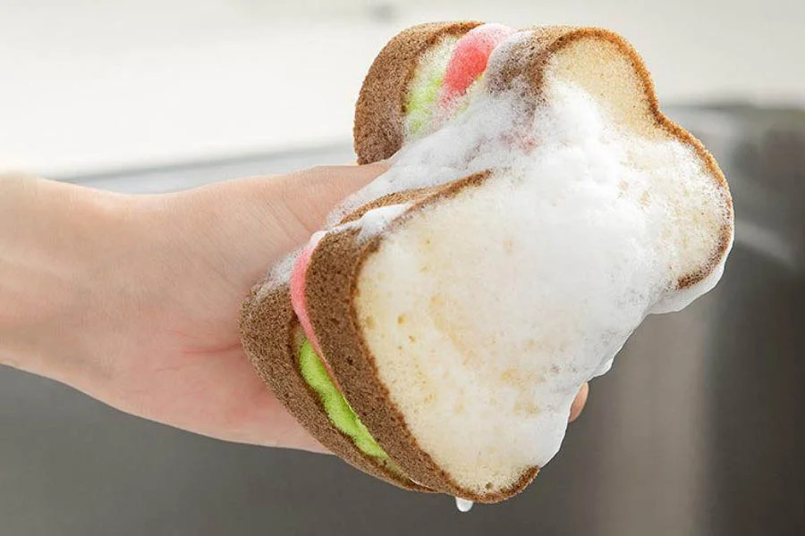 Food Shaped Dishwashing Sponges