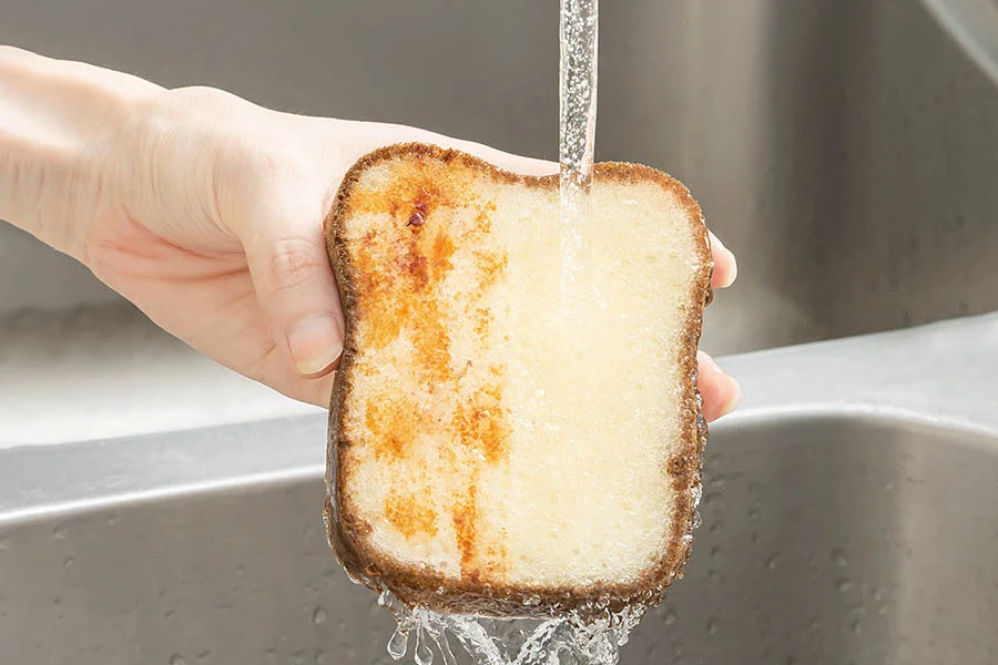 Novelty Shaped Kitchen Sponges